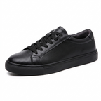 Korean version casual sneakers for men, suitable for all seasons, sports style, single shoes, trendy Korean version